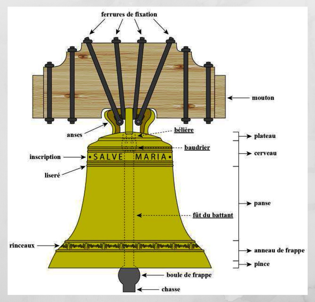 26.éléments d'une cloche